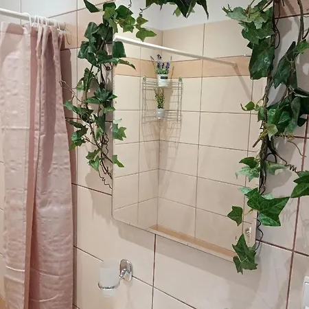 Apartment Roses 2 *