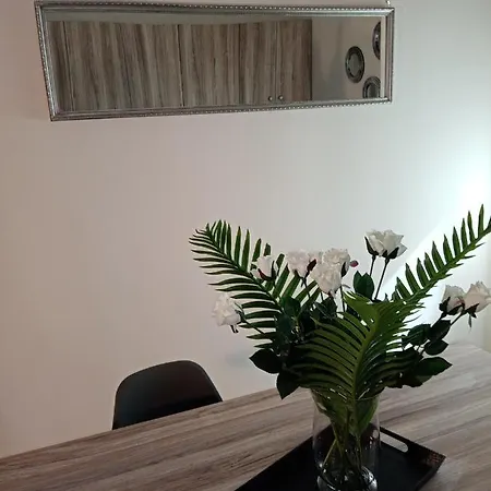 Roses 2 Apartment Skala Sotiros