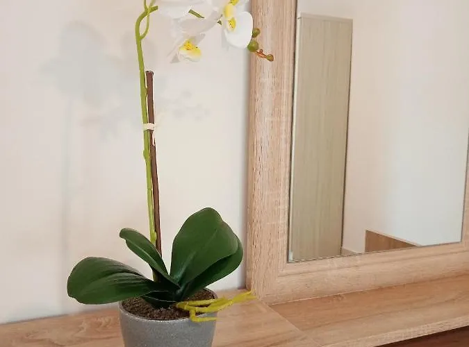 Roses 2 Skala Sotiros